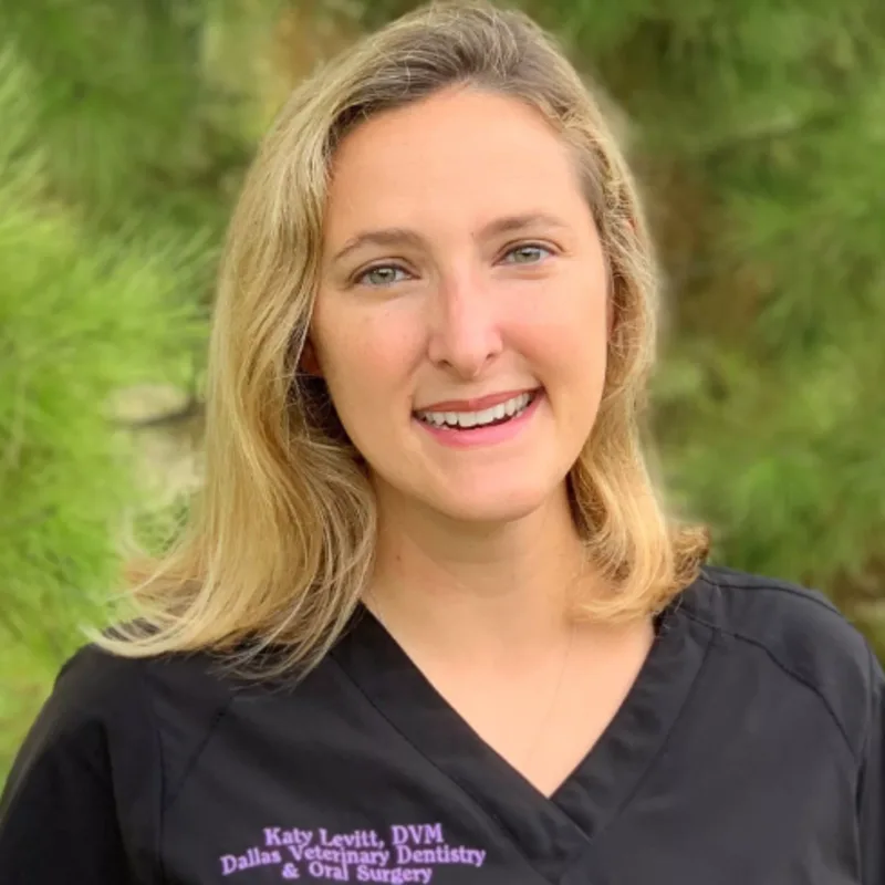 Katy Levitt Katy Levitt