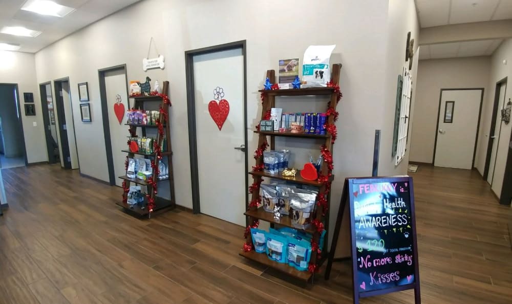 Catalina Pet Hospital Hallway