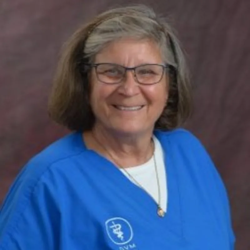 Jill Sackash Jill Sackash