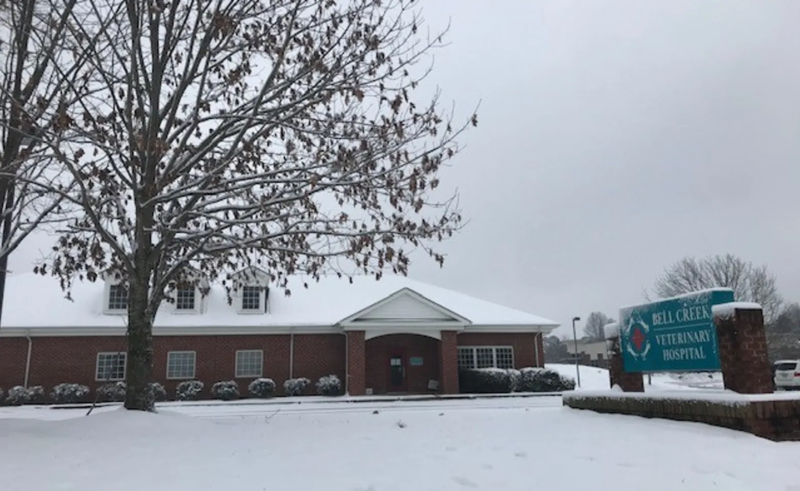 Bell Creek Veterinary Hospital covered in snow