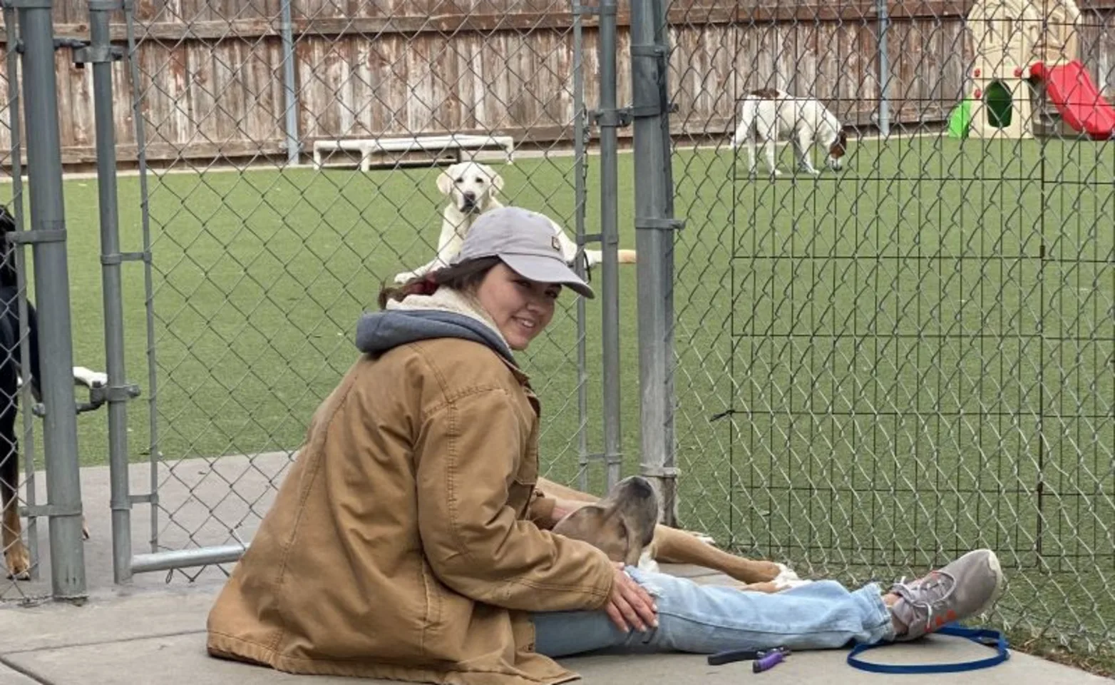 person watching dogs in daycare person watching dogs in daycare