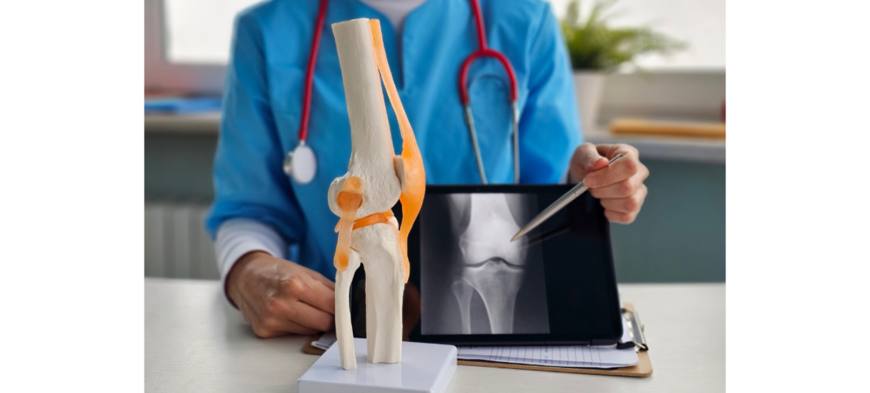 Veterinarian Pointing an an X-Ray