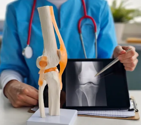 Veterinarian Pointing an an X-Ray Veterinarian Pointing an an X-Ray