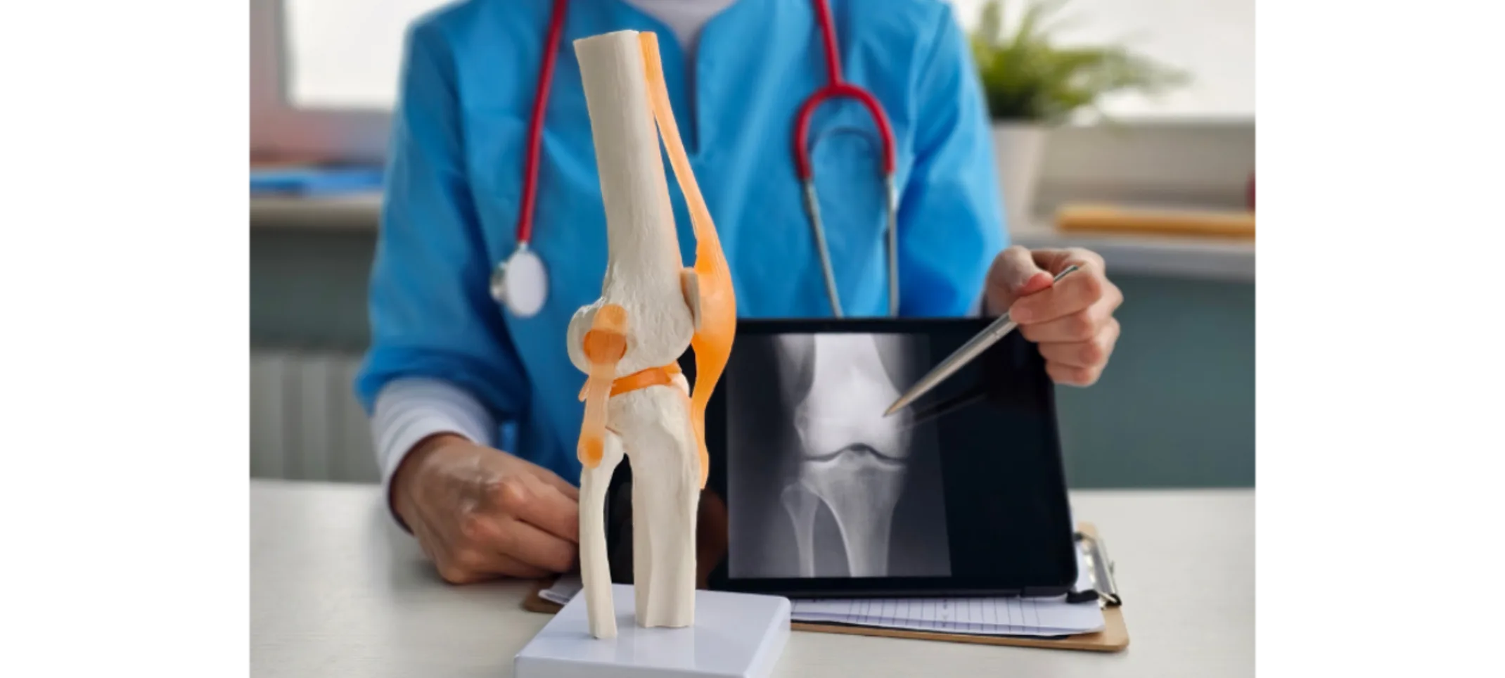 Veterinarian Pointing an an X-Ray Veterinarian Pointing an an X-Ray