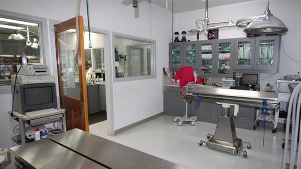Apple Tree Cove Animal Hospital Operating Room