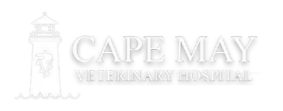 Cape May Veterinary Hospital Logo Cape May Veterinary Hospital Logo