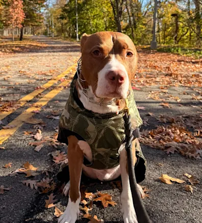 Daisy Espinoza Daisy Espinoza