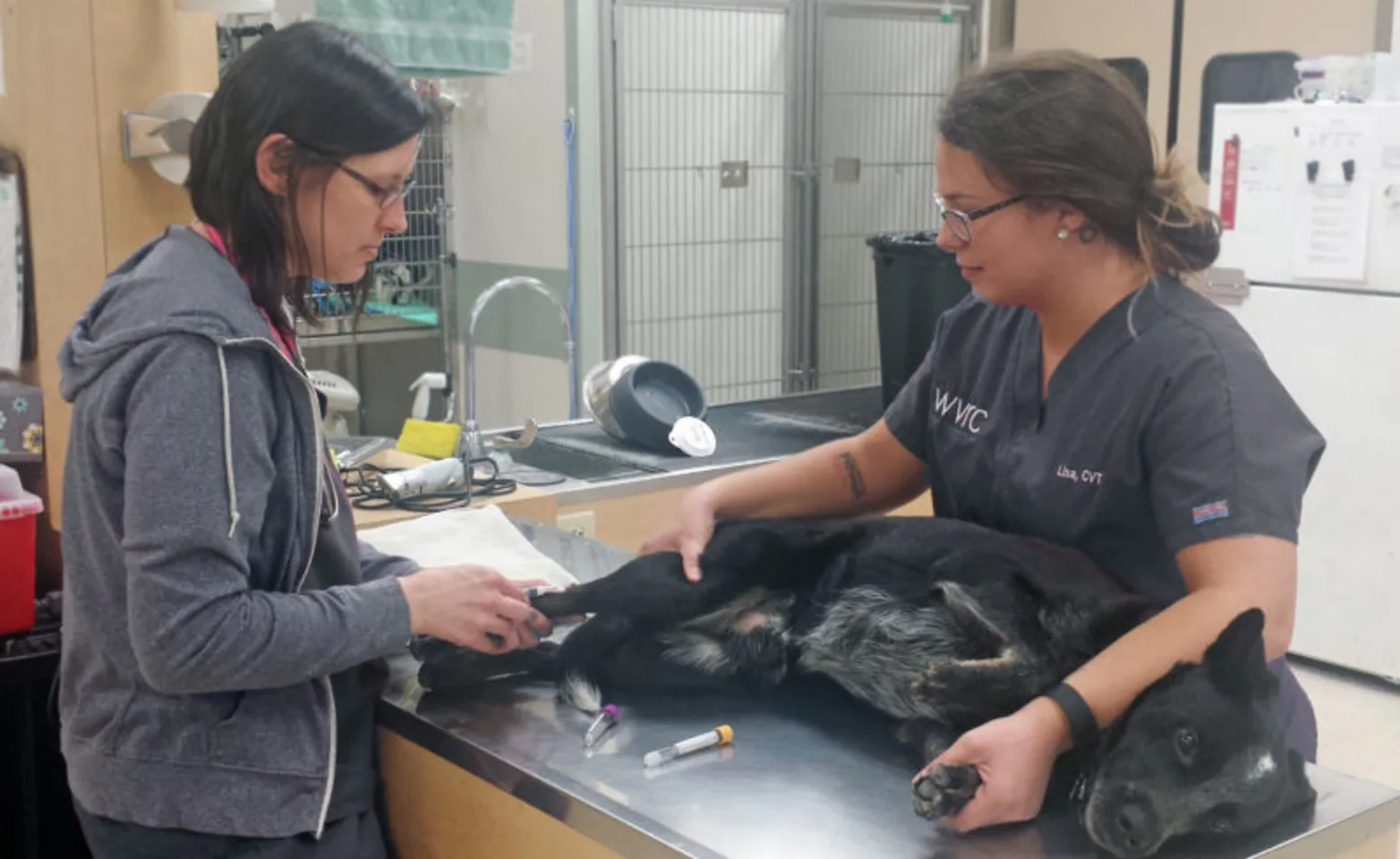 Grafton Treatment Room Grafton Treatment Room