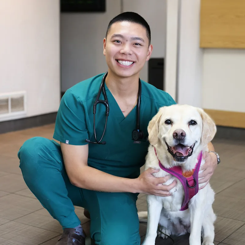 Dr. Kyle Lee (coming soon) Dr. Kyle Lee (coming soon)