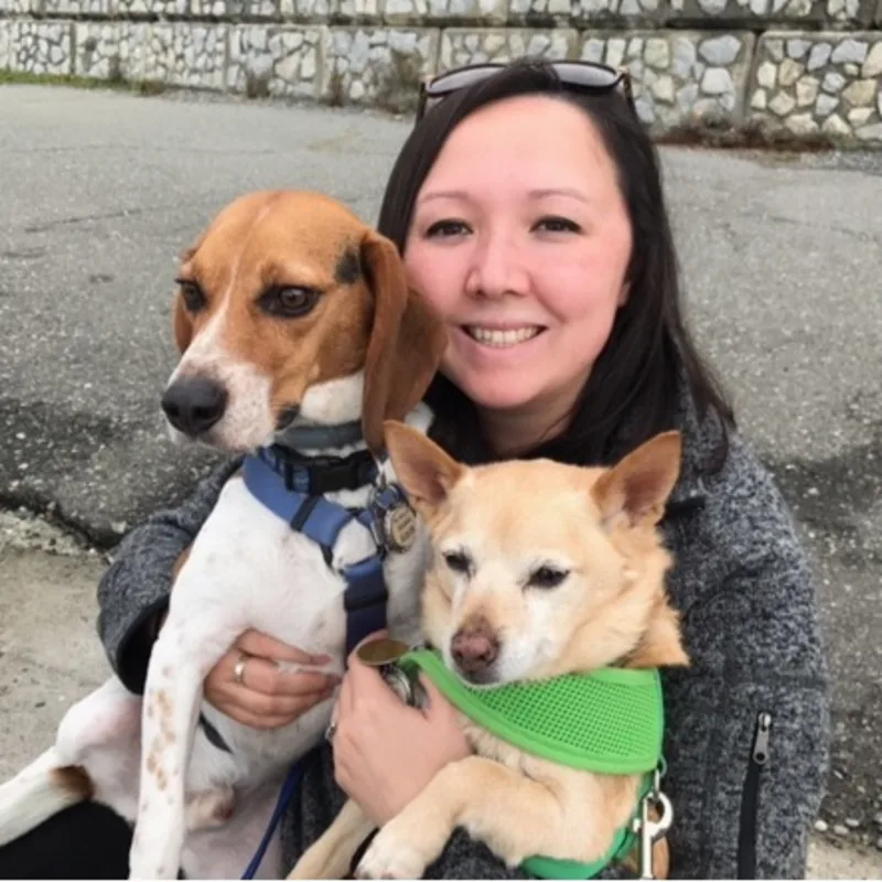 Dr. Amy Fink - ADVM Dr. Amy Fink - ADVM