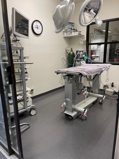 White Pine Veterinary Hospital Surgery Suite