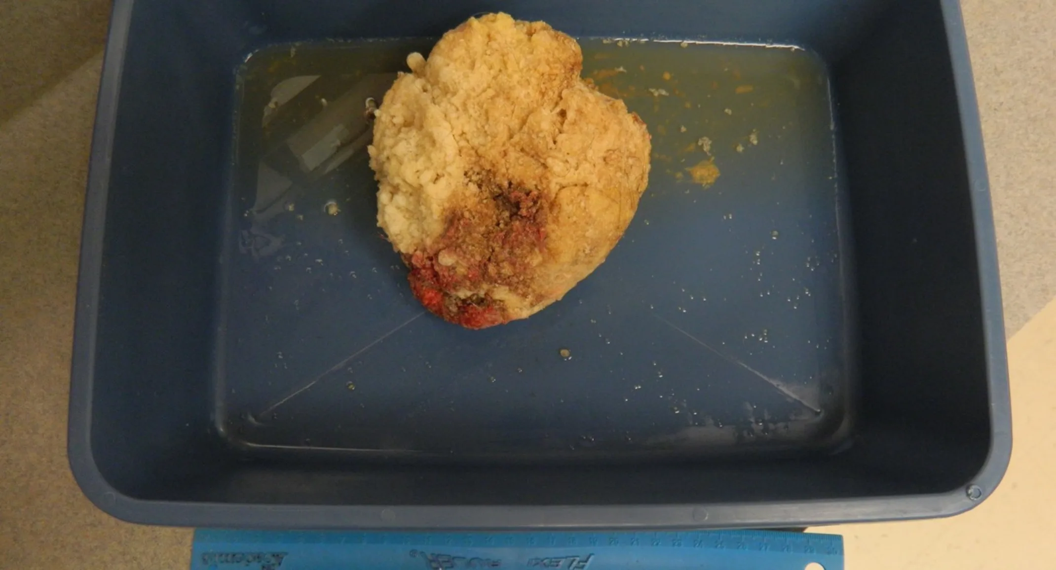 Gorilla Glue Photo Gorilla Glue Photo