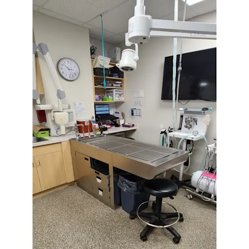 Dental Table & X-Ray Dental Table & X-Ray