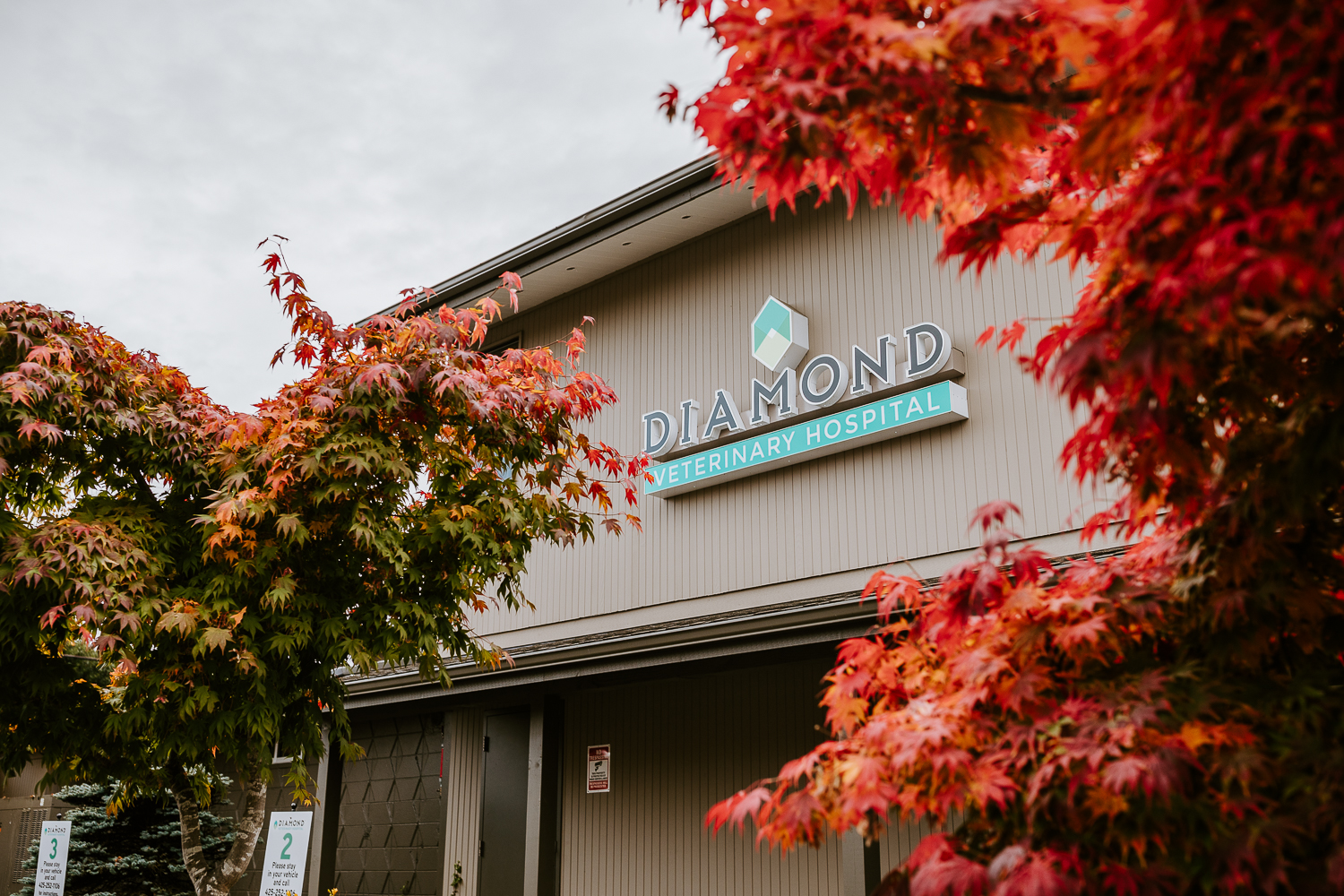 Veterinarian in Everett, WA Diamond Veterinary Hospital