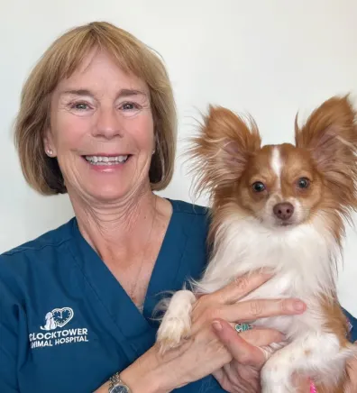 Paula at Clocktower Animal Hospital, with little dog