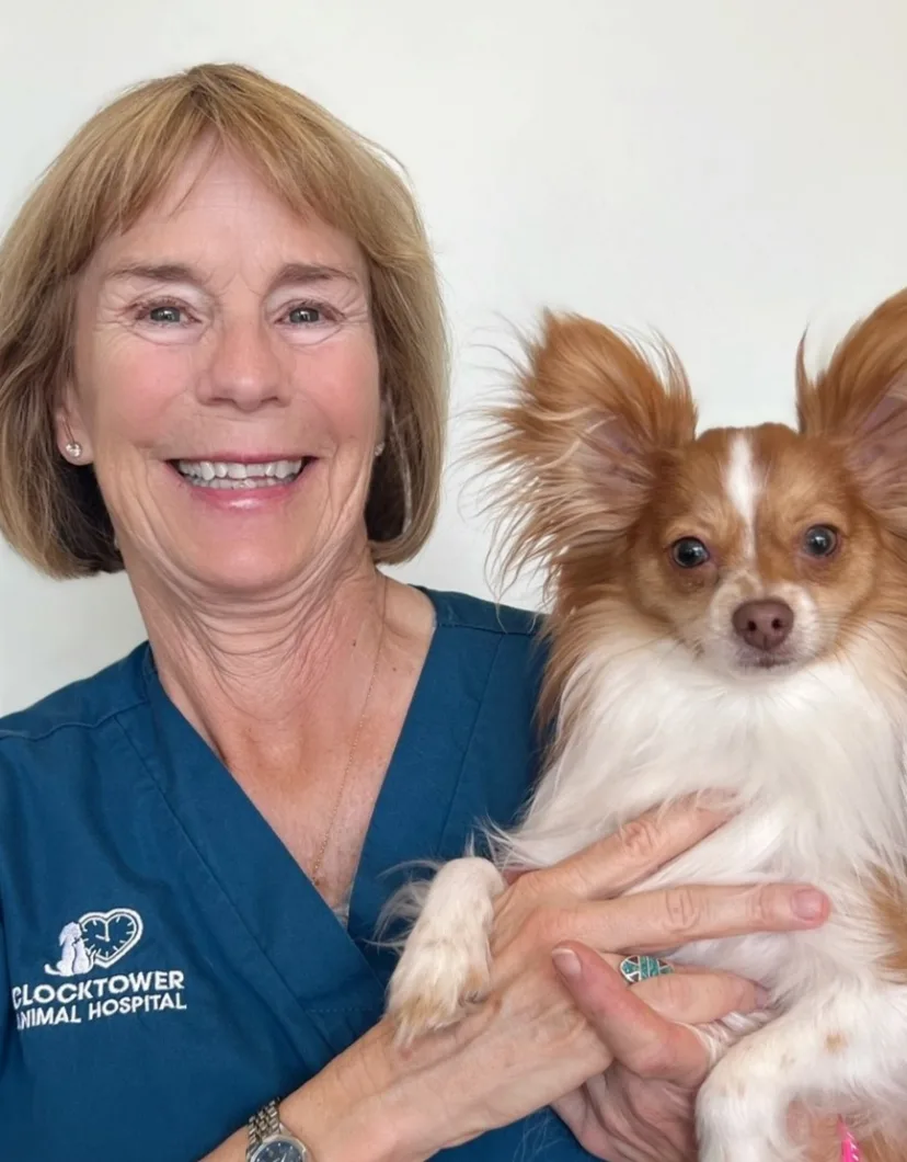Paula at Clocktower Animal Hospital, with little dog