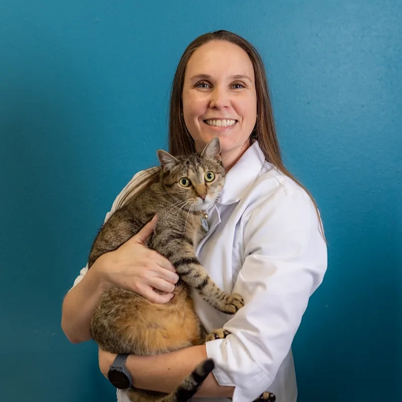 Dr. Kristine Rice Dr. Kristine Rice