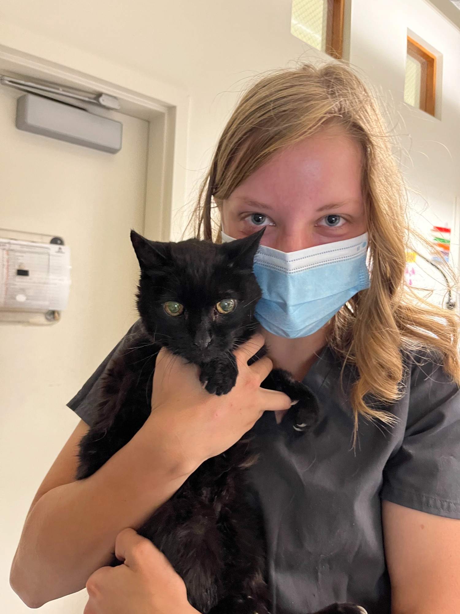 Blonde woman wearing a mask and holding a black kitten.