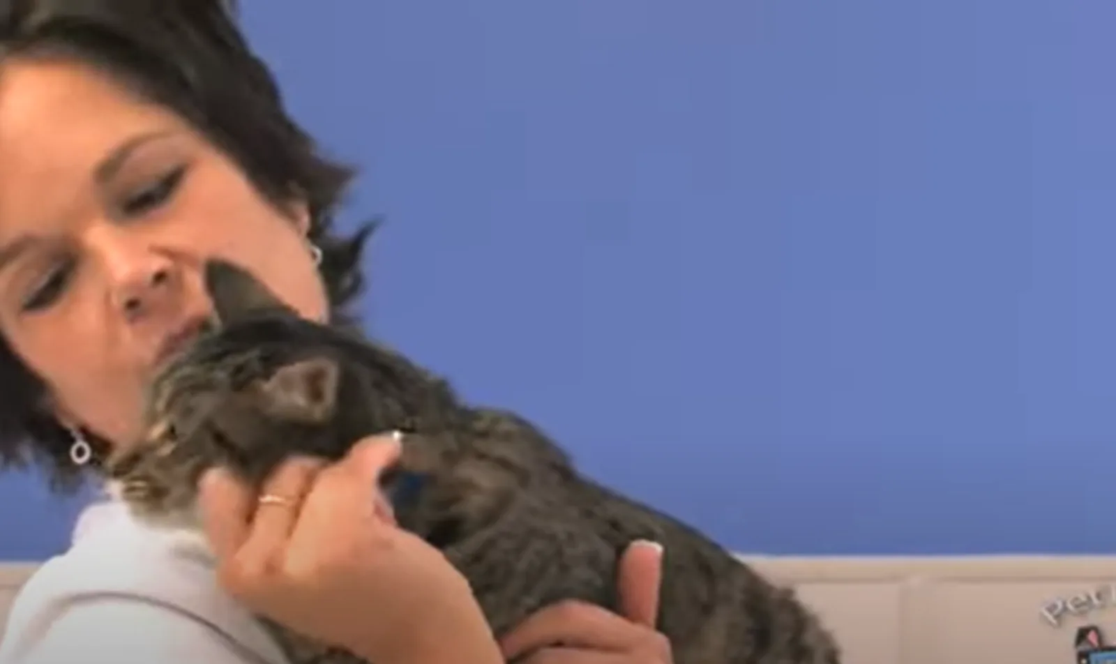 Veterinarian holding a cat