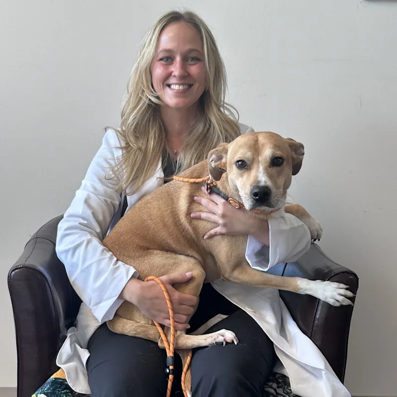 Dr. Mikayla Saborowski Dr. Mikayla Saborowski