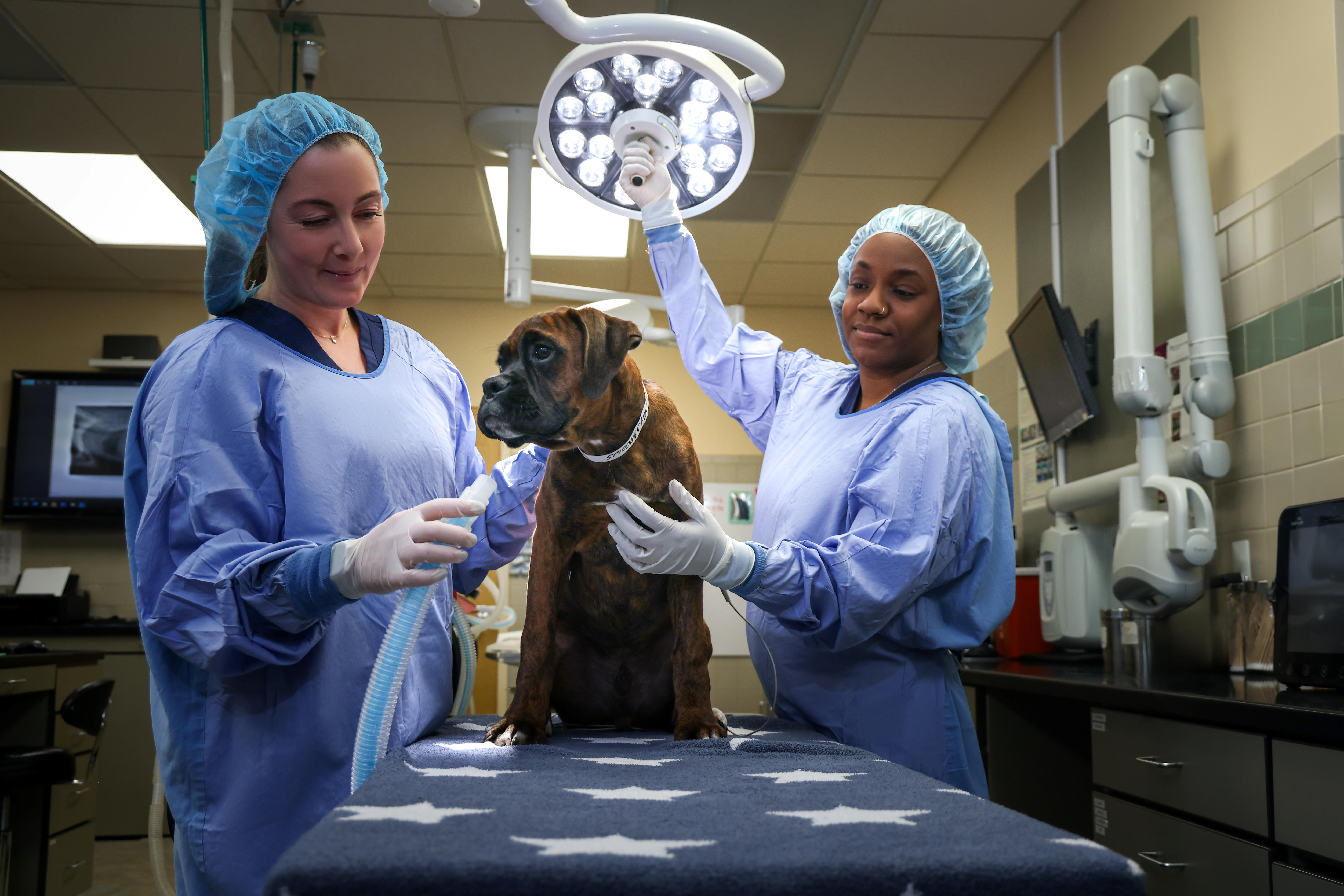 Patient being prepped for surgery