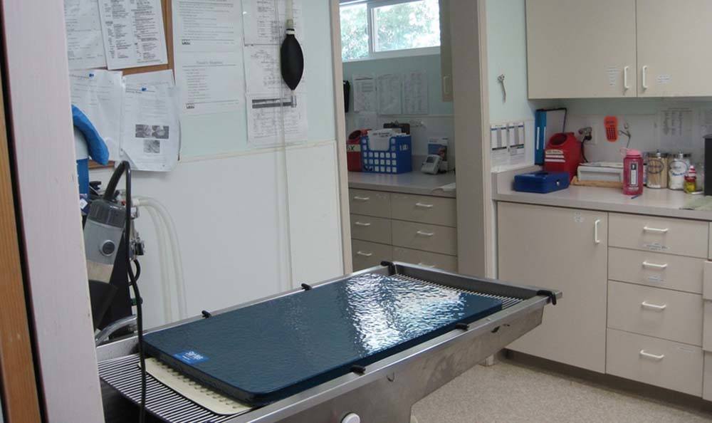 Linda Mar Veterinary Hospital Surgery Prep and table area