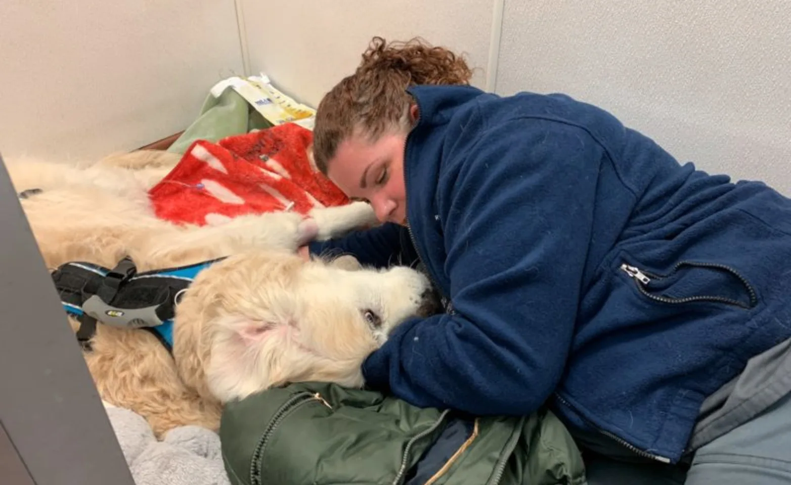 Staff member petting a dog