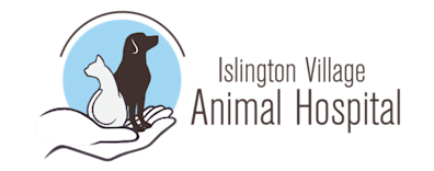 Islington Village Animal Hospital Logo Islington Village Animal Hospital Logo