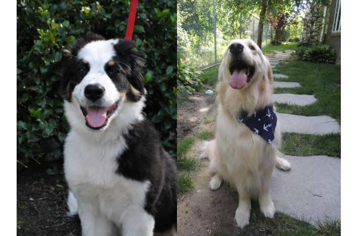 Happy Oakhurst Clients!