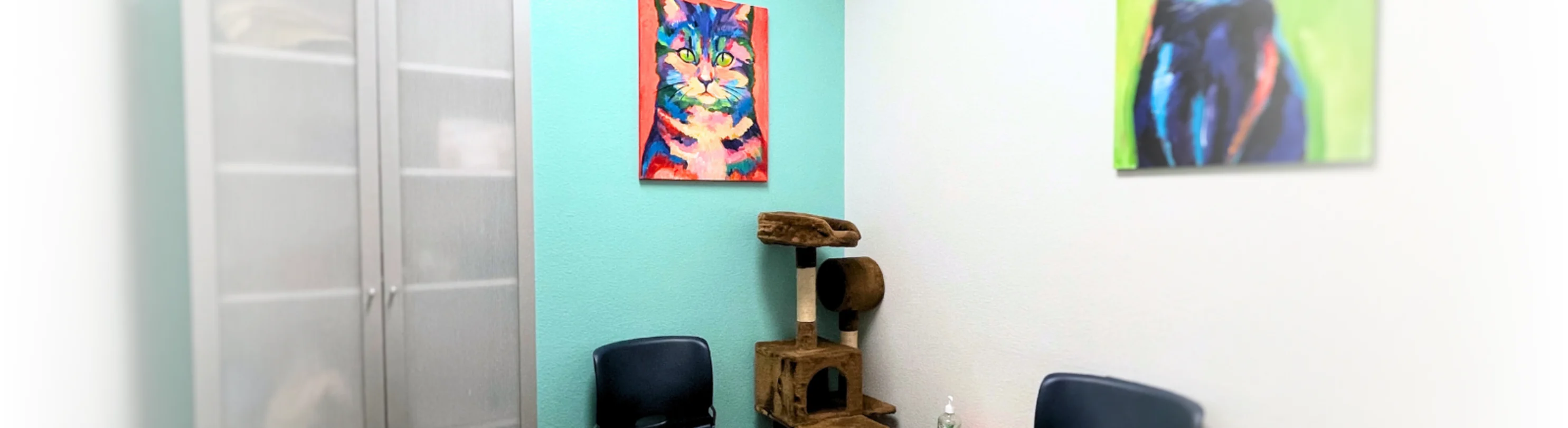 Exam rooms with cat-friendly equipment at Belmont Shore Veterinary Hospital