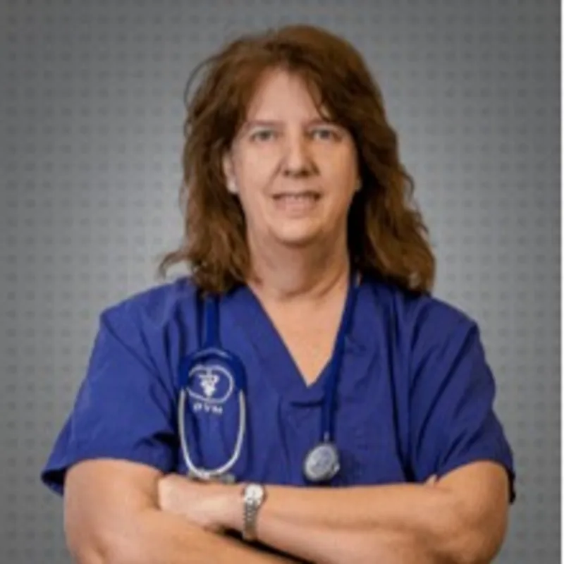 Dr. Beth Holm Dr. Beth Holm