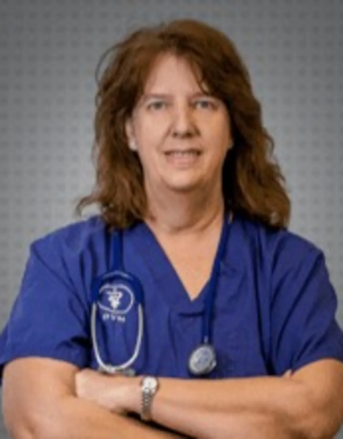 Dr. Beth Holm Dr. Beth Holm