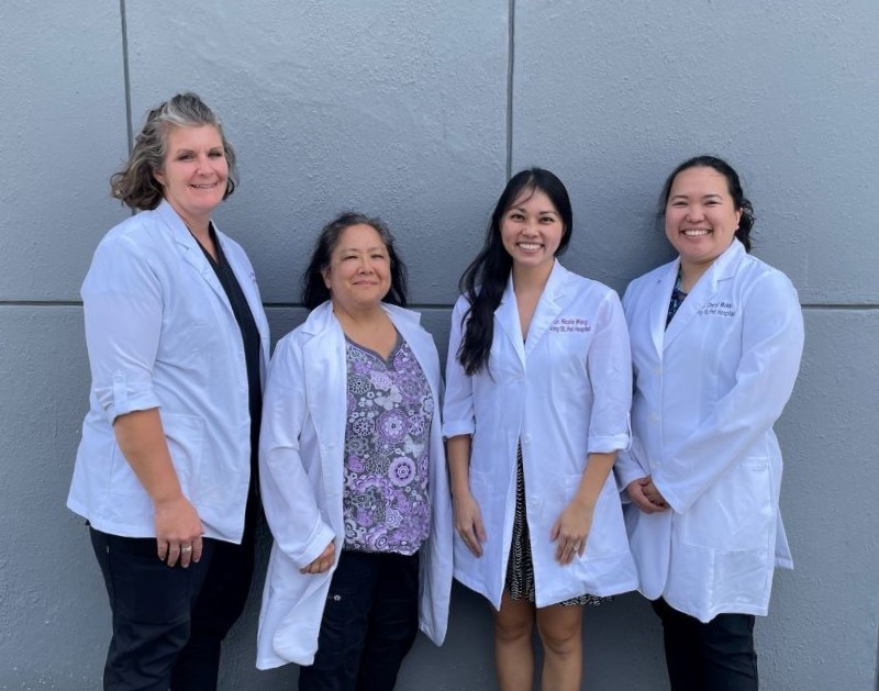 King Street Pet Hospital - Pet Services in Honolulu