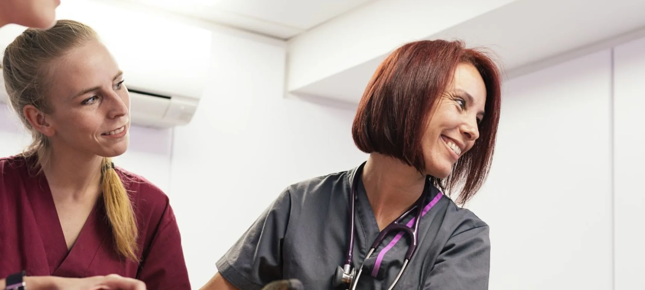 Dog being tended to by multiple doctors. Dog being tended to by multiple doctors.