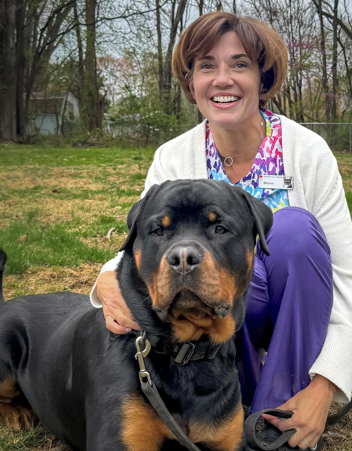 New Baltimore Animal Hospital Melanie New Baltimore Animal Hospital Melanie