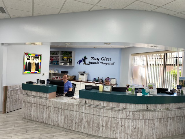 Front desk at Bay Glen Animal Hospital