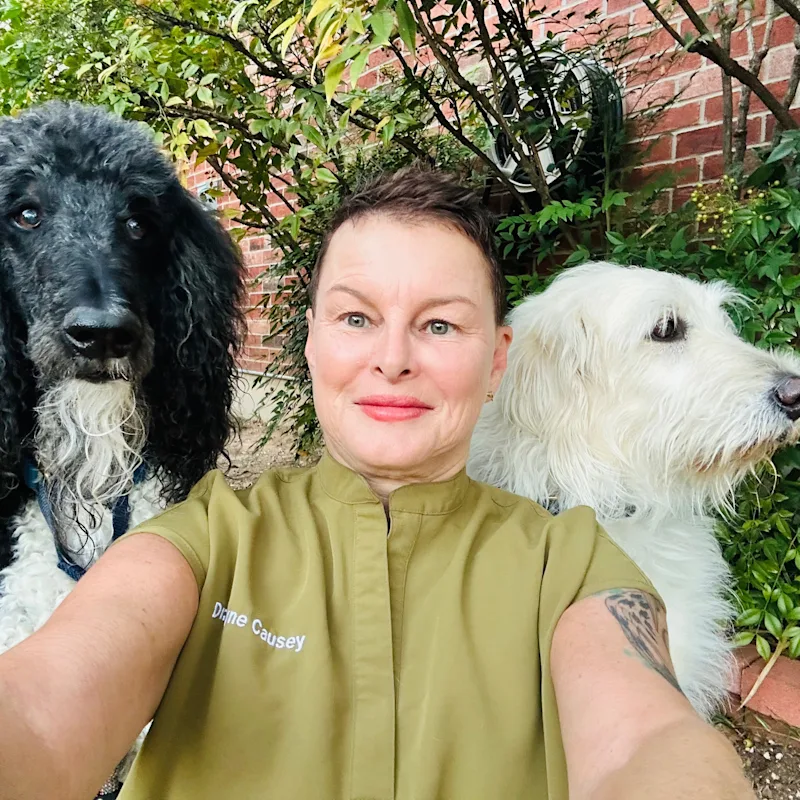 Dr. Jayne Causey Dr. Jayne Causey