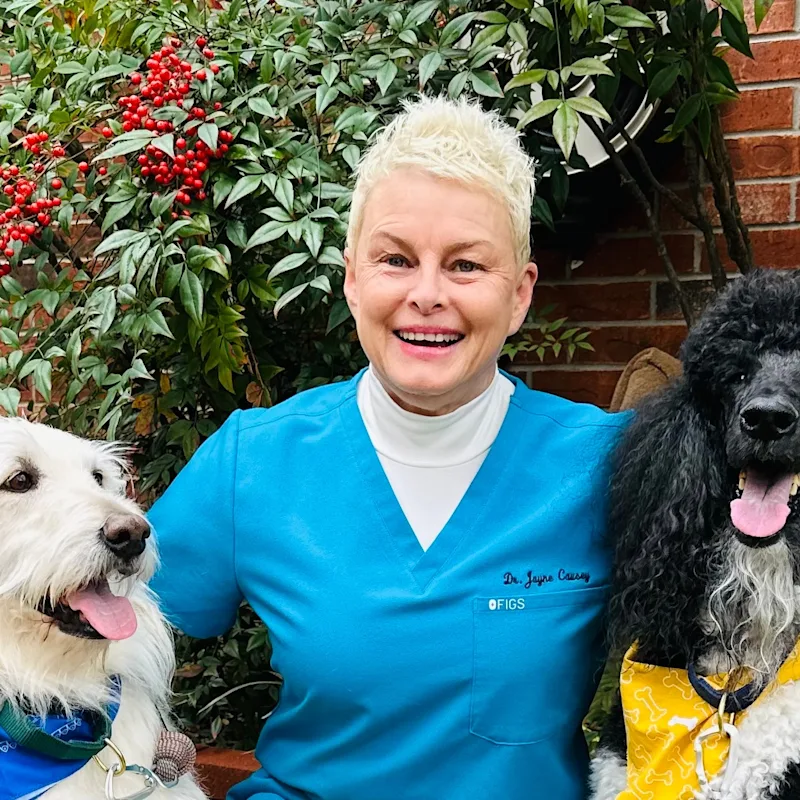 Dr. Jayne Causey Dr. Jayne Causey