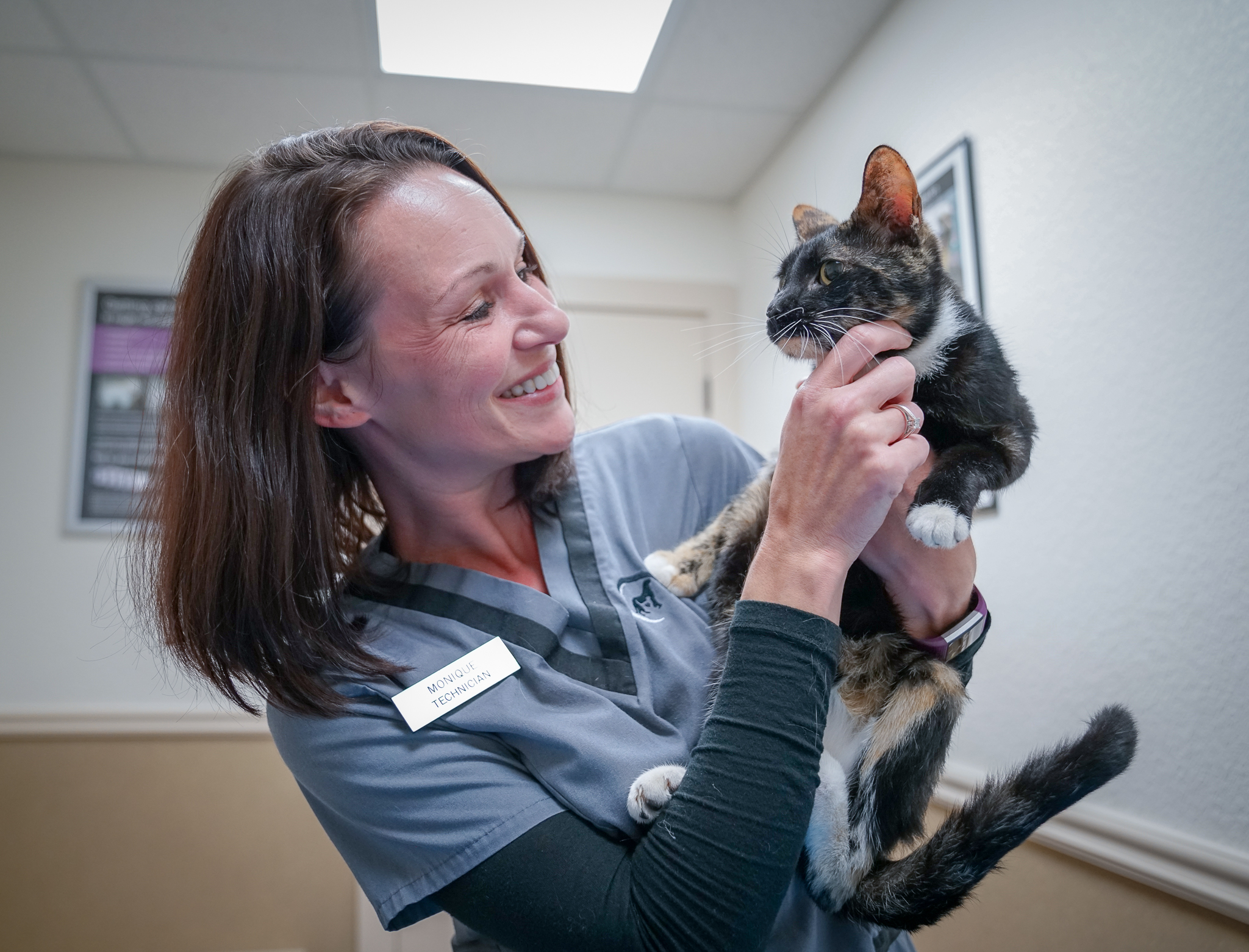 technician with cat