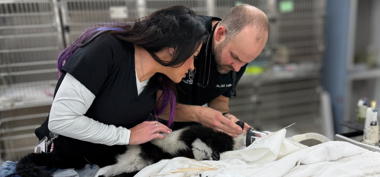 When disaster struck ZooWorld, the Animal Care Center of Panama City Beach stepped up to help