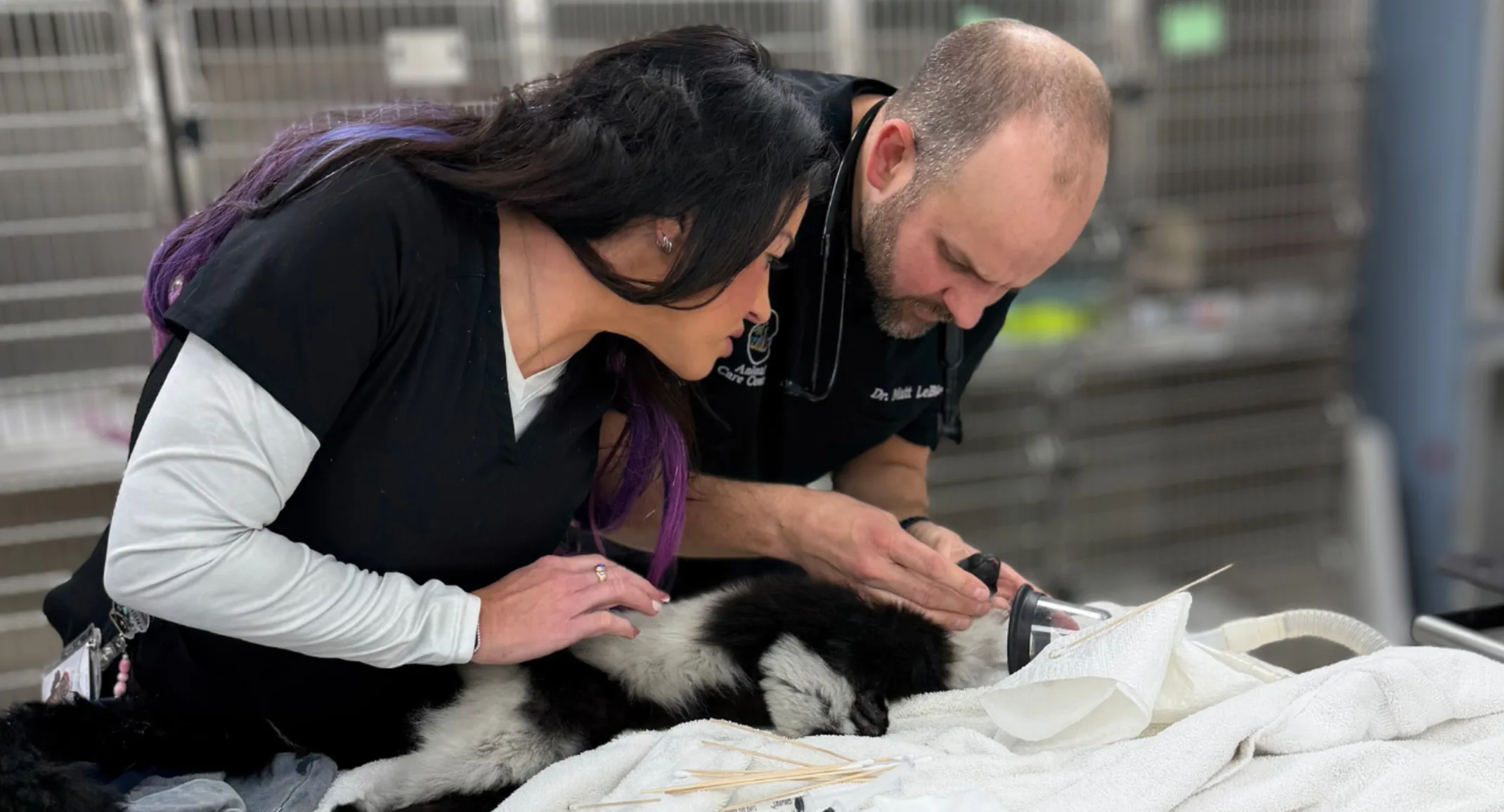 When disaster struck ZooWorld, the Animal Care Center of Panama City Beach stepped up to help When disaster struck ZooWorld, the Animal Care Center of Panama City Beach stepped up to help