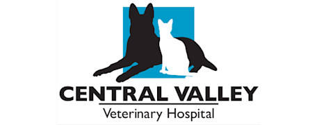 Central Valley Veterinary Hospital Logo Central Valley Veterinary Hospital Logo