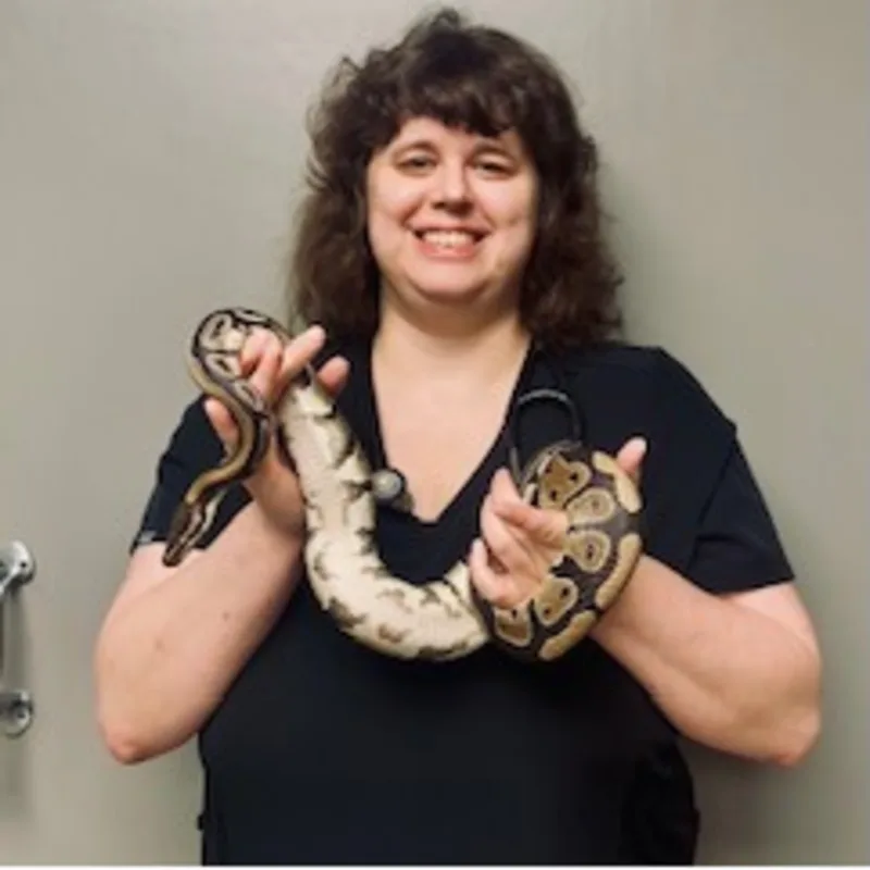 Dr. Faye Stephens Dr. Faye Stephens