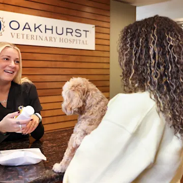 Staff member reviewing medication with owner Staff member reviewing medication with owner
