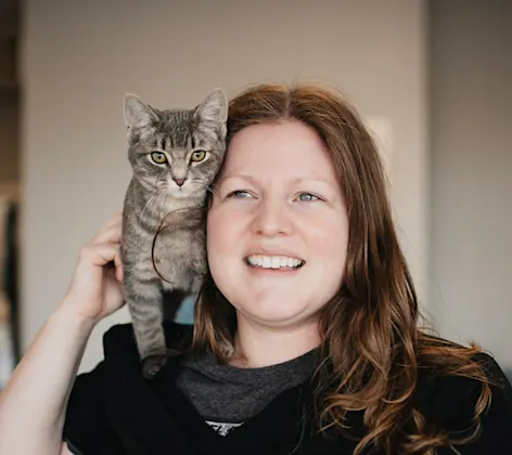 Small brindle gray cat sitting on the shoulder of a female staff member Small brindle gray cat sitting on the shoulder of a female staff member
