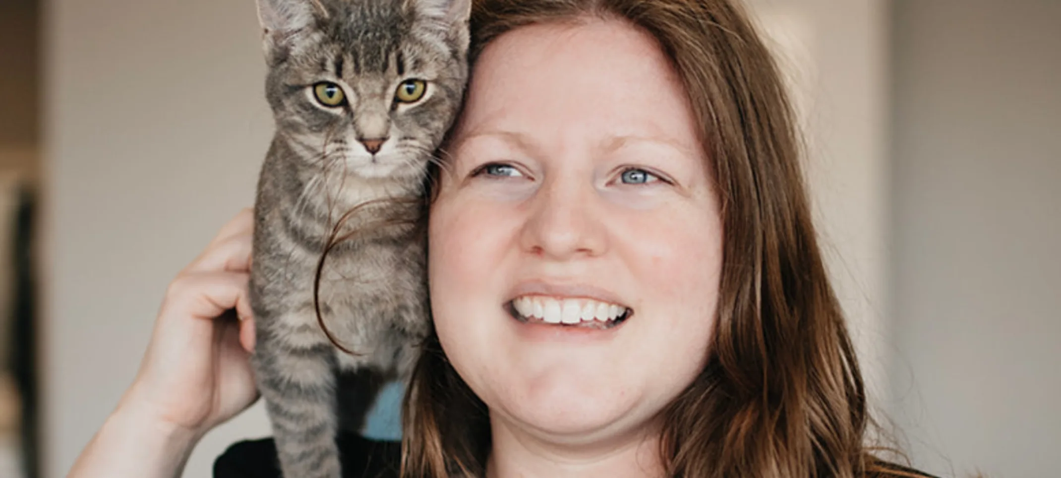Small brindle gray cat sitting on the shoulder of a female staff member Small brindle gray cat sitting on the shoulder of a female staff member