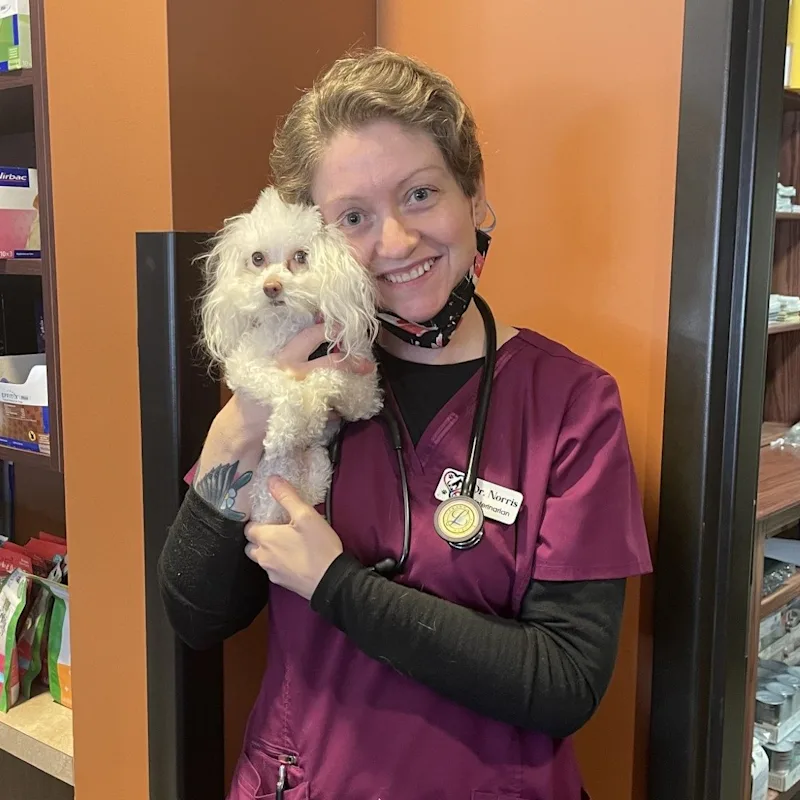 Dr. Jennifer Norris at Appalachian Animal Hospital Dr. Jennifer Norris at Appalachian Animal Hospital