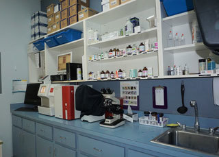 Laboratory at Best Friends Animal Hospital