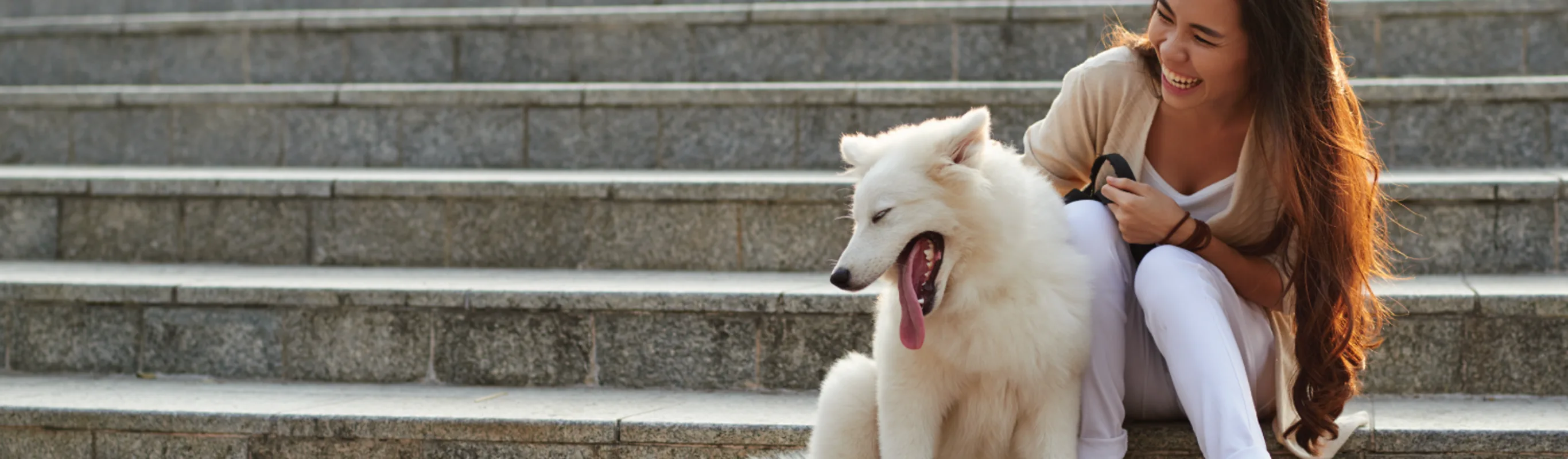 Dog on long stairs with woman