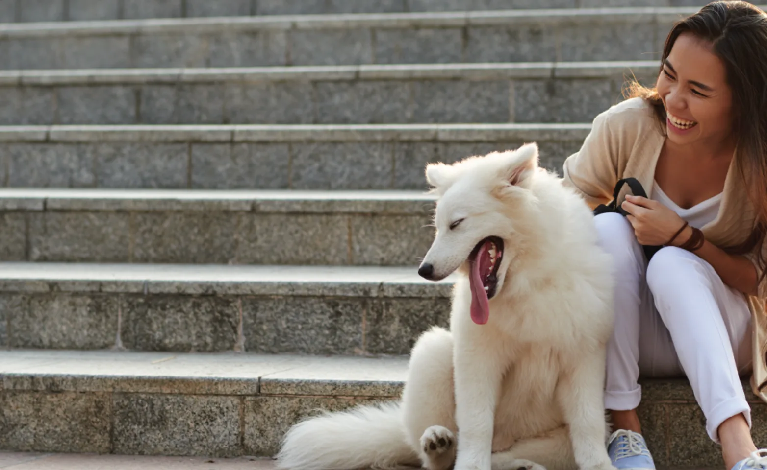 Dog on long stairs with woman